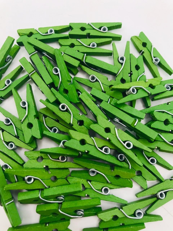 Mini Prendedor de Madeira - Verde