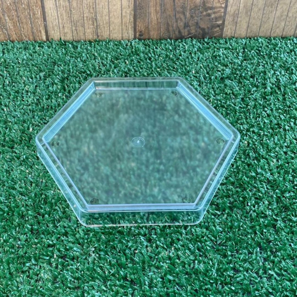 Bandeja Sextavada 18X16CM - Cristal - UND