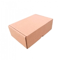Caixa de Papelo para ecommerce 24x15,5x08 cm - C/ 10