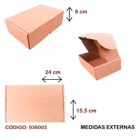 Caixa de Papelo para ecommerce 24x15,5x08 cm - C/ 10